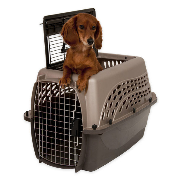 Country / Farmhouse Furniture Style Crate Dog Carriers You'll Love